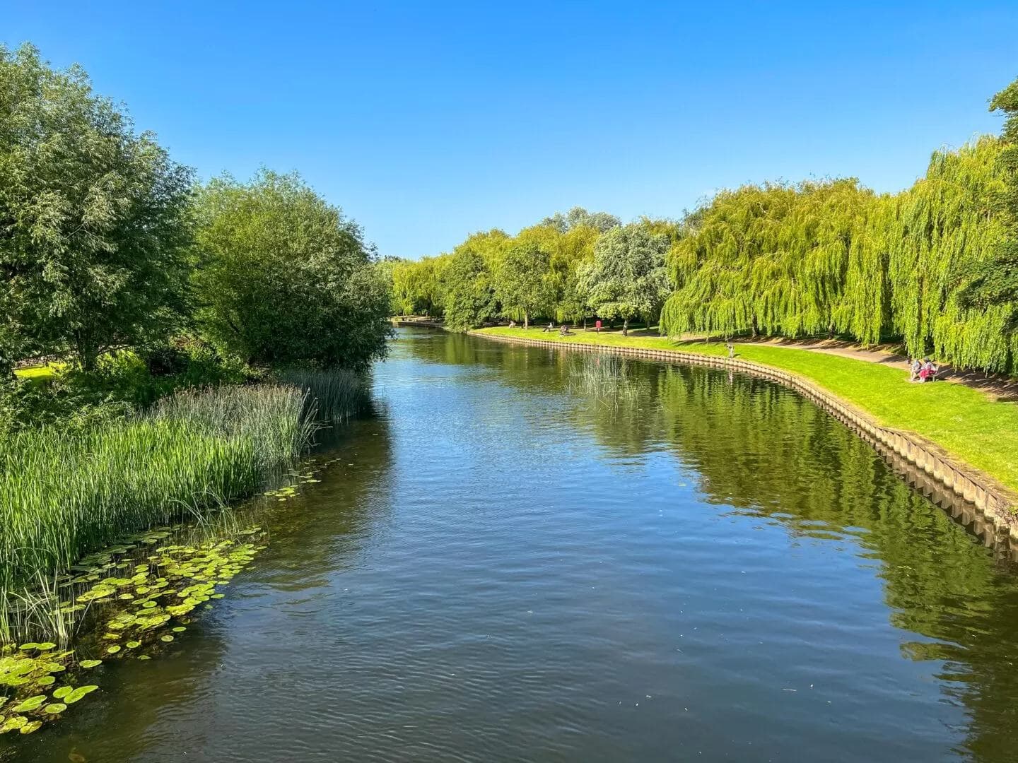 The River Avon at Stratford-upon-Avon, willows along the bank
